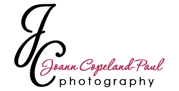 Joann Copeland-Paul - Artist Website